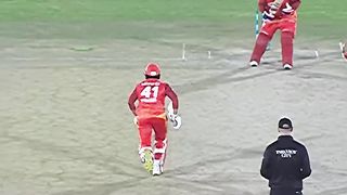 Cricket
