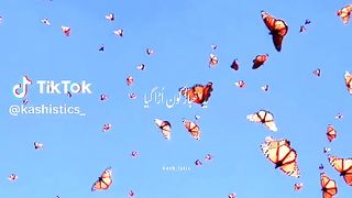 Heart touching song 2024
