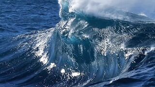 The Beauty of Nature