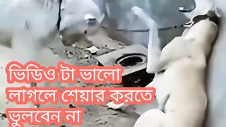 Animal dogs lovers