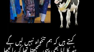 They say that we will not take salaries. Heer Kaaba also thought the same