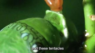 Wonders of the animal world 2024????‍????????‍????????‍????????‍????
