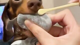 Teeth brushing lifehack.