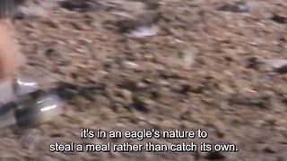 Wonders of the animal world 2024