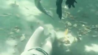 Very beautiful women swimming with a giant predatory shark