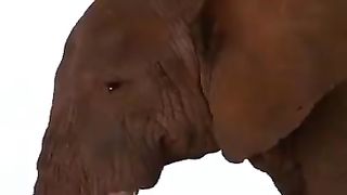 Tears of giants, a world of mercy