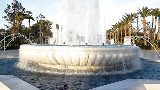 "A Symphony of Stillness: The Murmur of Water and Tranquility".