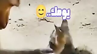 Something that will brighten your day..