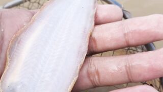 UNIQUE FISH | WHAT IS NAME?