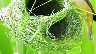 Como construir uma casa maravilhosa 100% natural