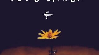 True words
