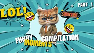 Ultimate Funny Cats and Dogs ???????? Funniest Animals ???? Part 1
