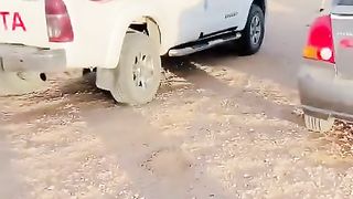 الصحراء المصرية