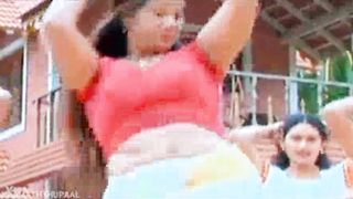 Wow ???? so  funny video