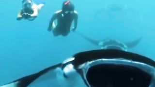 Would you swim like that?
