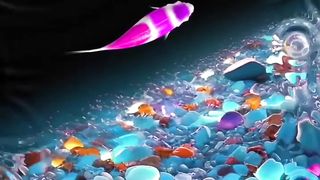 Beautiful water fish ????????