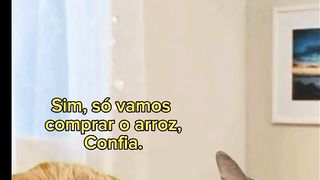 É só um arroz ????