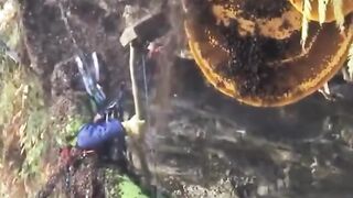 Harvesting rock honey! Will You Dare?