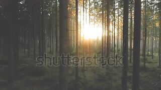 (ASMR) Sunrise No Sound