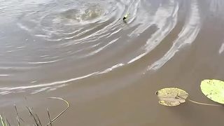 Fishing