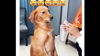Mera dosr Eid ka kapron ka naap dety howay
