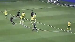 Ronaldo the goat