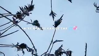 video #6