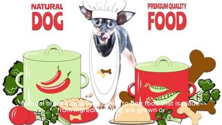 Understanding the Benefits of Natural Organic Dog Foods A Comprehensive Guide