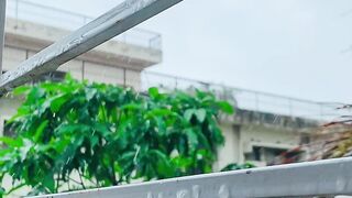 Beautiful Weather