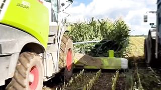 APPLICATION OF TECHNOLOGY IN AGRICULTURE