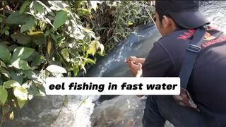 eel fishing in fast water