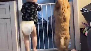 A baby and a furry companion engage in a delightful display of synchronized jumping.