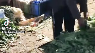 الشعبي