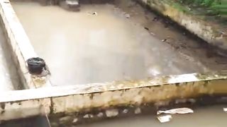 Walaupun puasa tapi panen tetap berjalan karena konsumen tidak mau tau, harus ada lele setiap hari