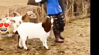 ممنوع الضحك