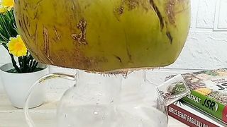 Resep rimpang