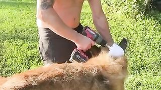Life hack for dog owners.