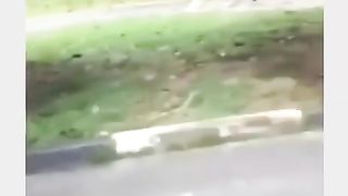 Dog is angry ????