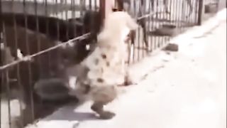 That dogs life will never be the same again