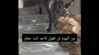 مهندس الجبال في خدمة الانسان