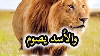 معلومات