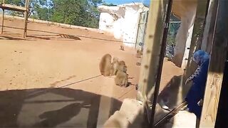 Rabat Zoo