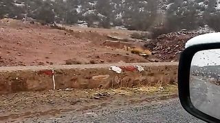 الجمال الطبيعة