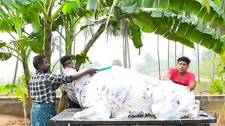 300_Kg_WHOLE_BEEF_ROAST___6_Hours_Roasting_a_Whole_Buffalo_Tandoor___Beef_Mandhi_Recipe