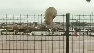 Lots of fun with funny videos
