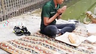 Buaya menunggu berbuka puasa