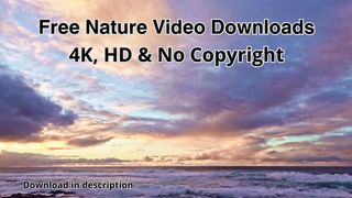 Free Nature Video Downloads 4K, HD & No Copyright