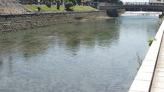 Crni Drim Struga