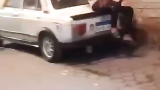 Prank With Dogs