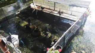 Ohrid sv. Naum
